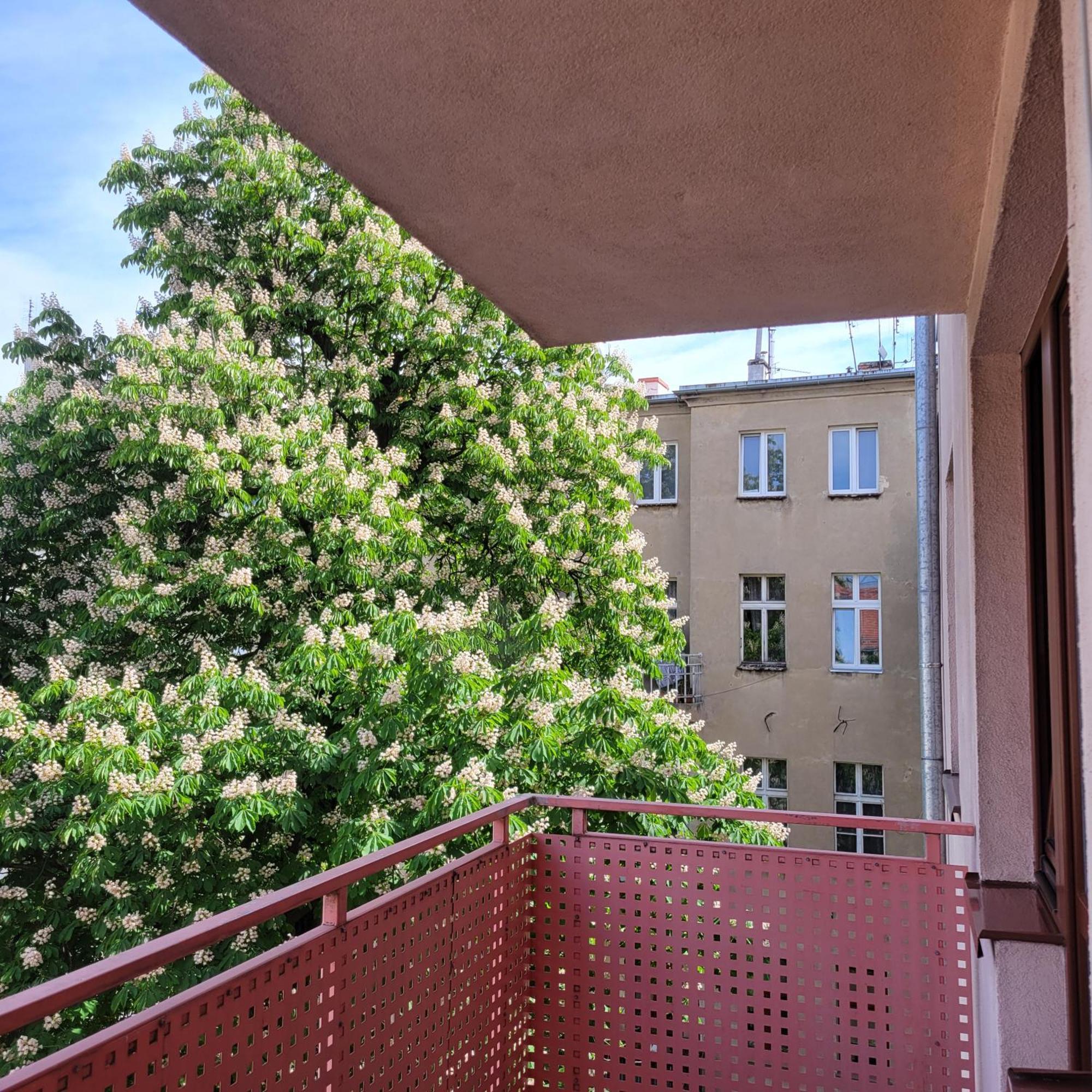 Aura Apartment Wrocław Exteriör bild